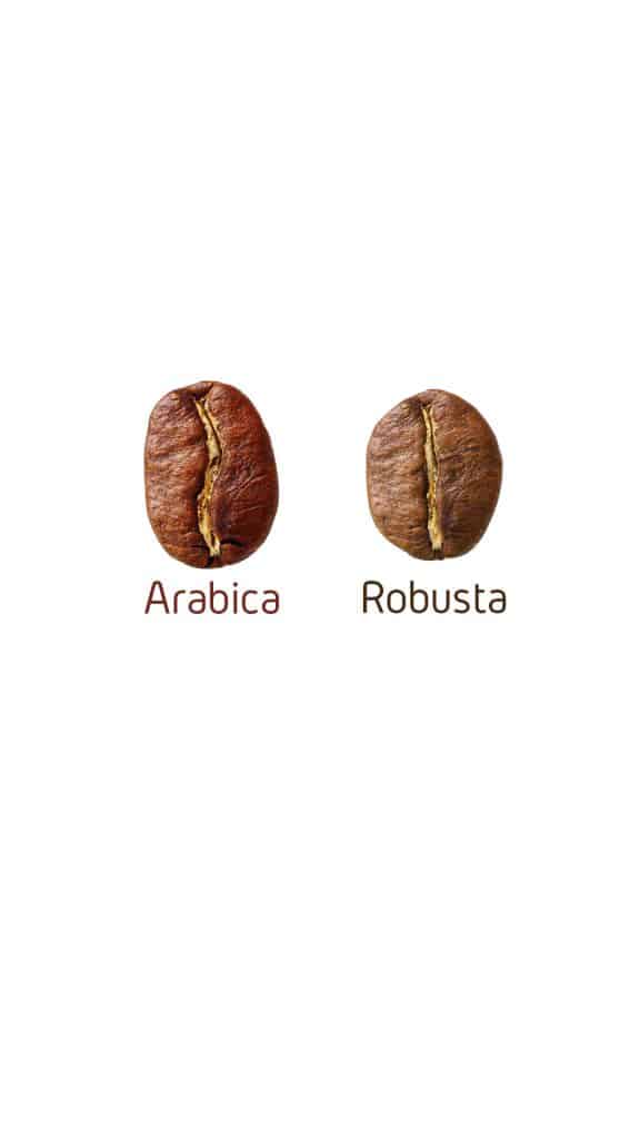 Arabica Robusta